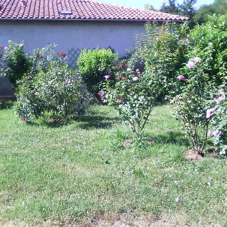 Kır Evi L'ancien Patronage